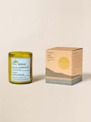 Coastal Aromatherapy Candle 6.7oz - Sea Spray