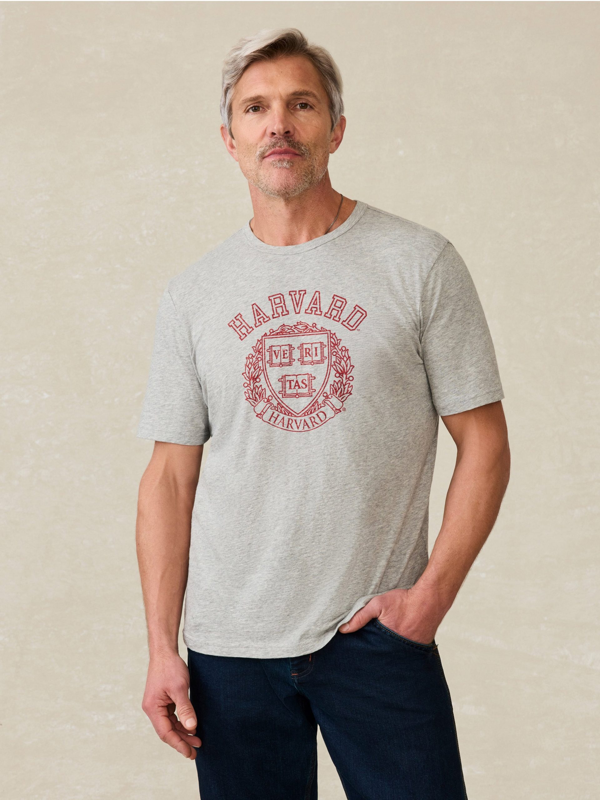 Harvard Sunwashed Tee - Granite Heather - Image 2